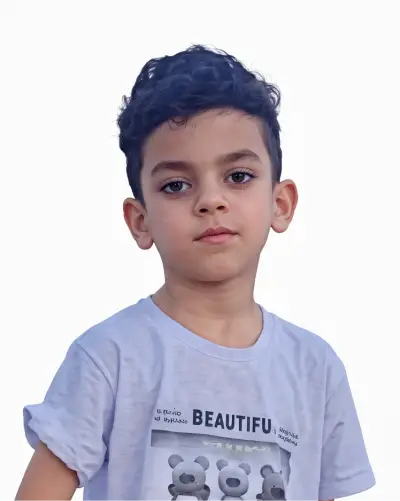Mohammad Hesam Raeisi