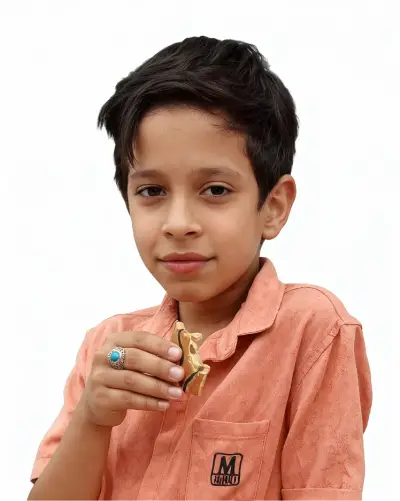 Mohammad Raoufinia