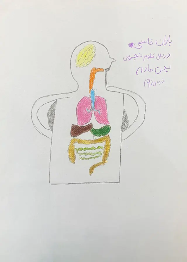 Drawing 2 of 25 by a child of Minab